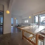 Votsalaki Mykonos Boutique מלון דירות 4*